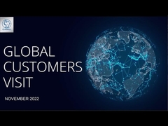 Visite 2022 de client de groupe de chameau globalement